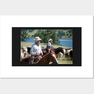 Preparing to herd cattle Posters and Art